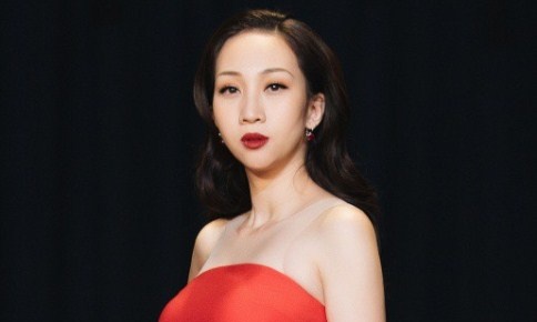 Leu Phuong Anh: 'Toi chia tay ban trai khi mang bau con trai thu 2' hinh anh