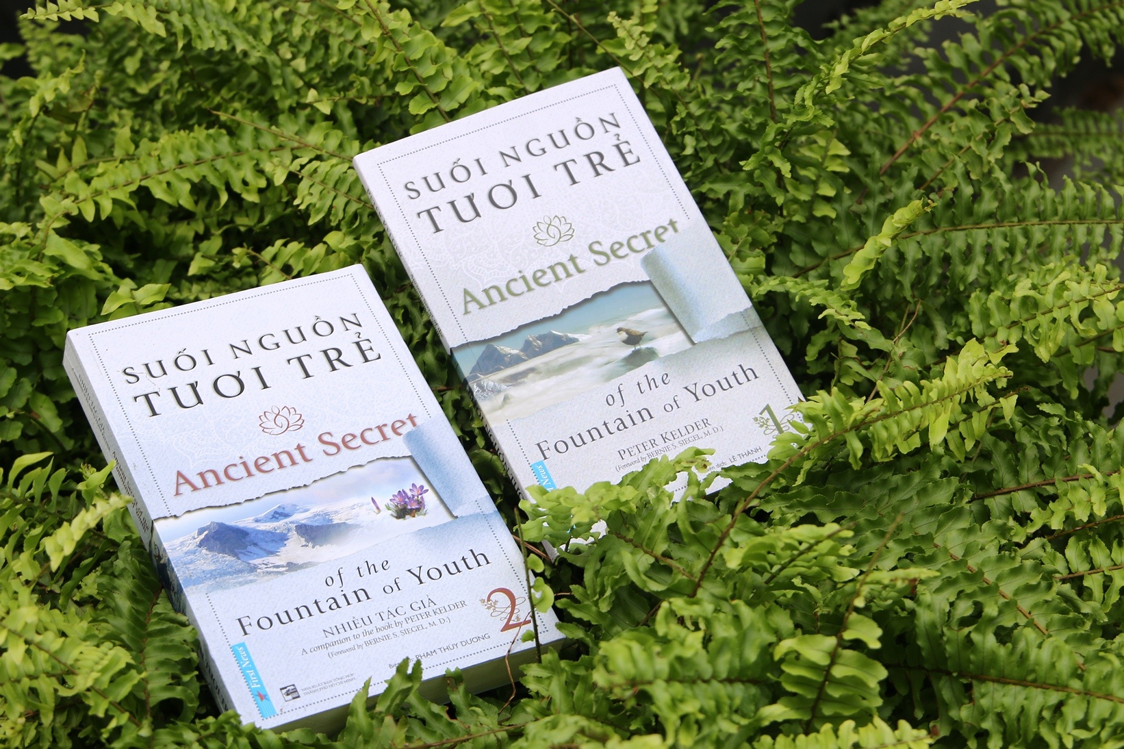 Sach Suoi nguon tuoi tre 2 anh 1