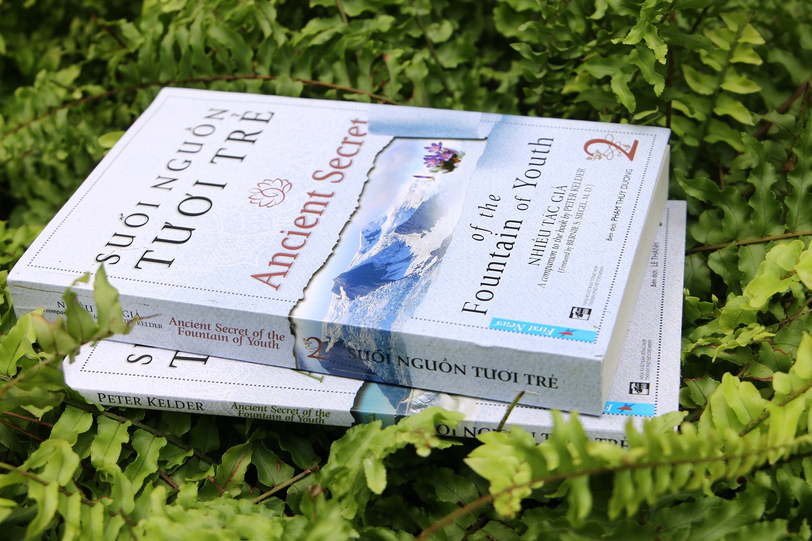 Sach Suoi nguon tuoi tre 2 anh 2