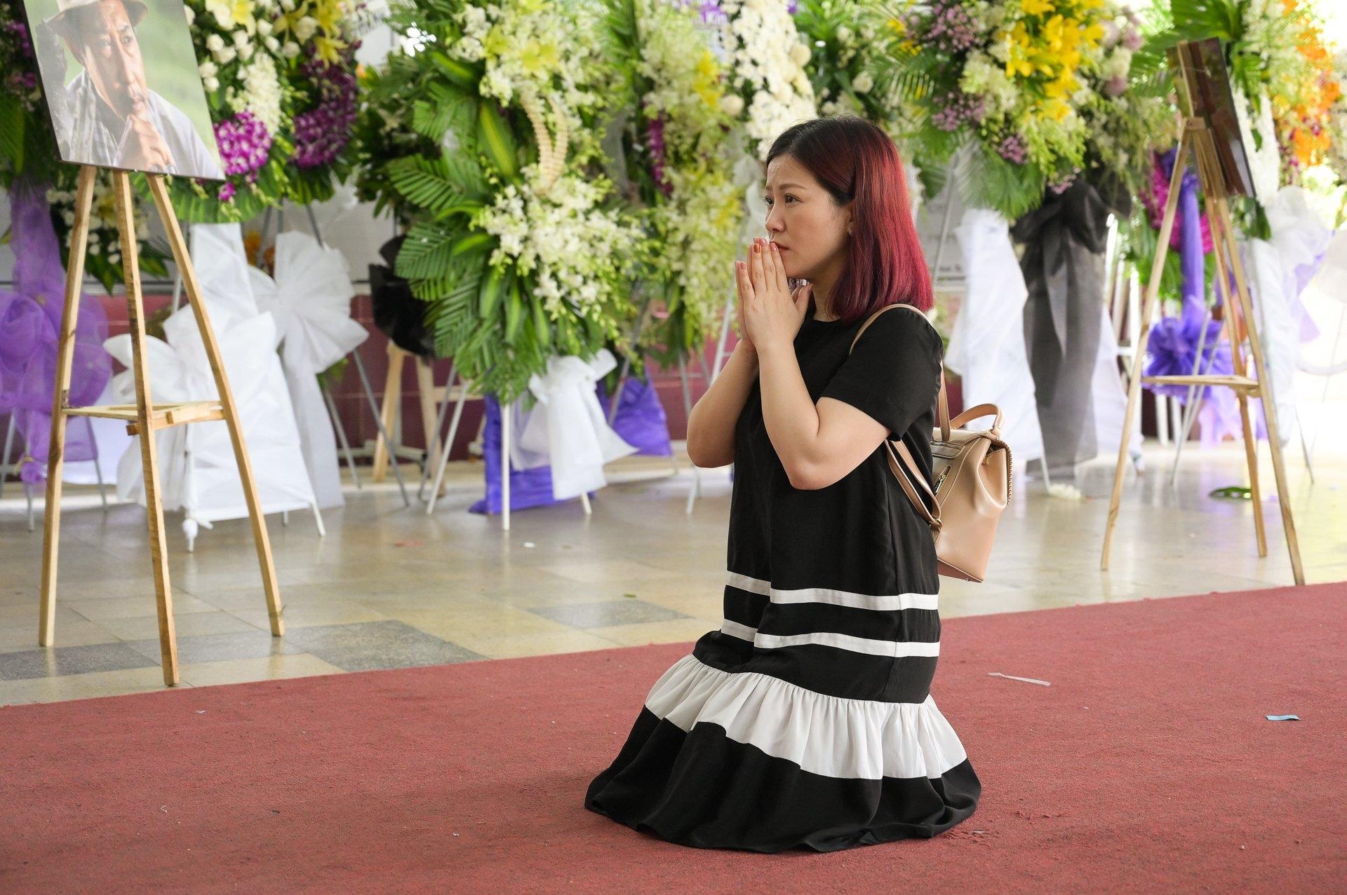 Dam tang nghe si Le Binh anh 13