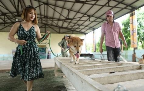 Chó đóng phim Đất phương Nam ảnh 1 Cho dong phim Dat phuong Nam anh 1