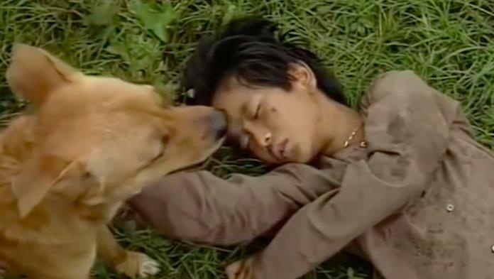 Cau chuyen ly ky ve chu cho thong minh dong phim 'Dat phuong Nam' hinh anh