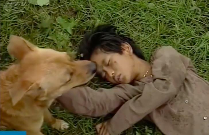 Chó đóng phim Đất phương Nam ảnh 2 Cho dong phim Dat phuong Nam anh 2