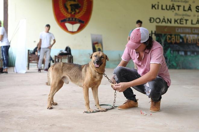 chó Nhật đóng cậu Vàng ảnh 2 cho Nhat dong cau Vang anh 2