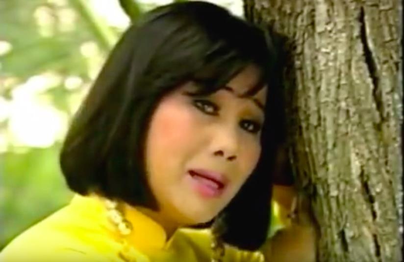 Cuoc song cua Tai Linh, Kim Tu Long va dan sao 'Mua bui' gio ra sao? hinh anh