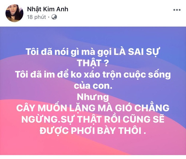 Nhật Kim Anh ly hôn ảnh 3 Nhat Kim Anh ly hon anh 3