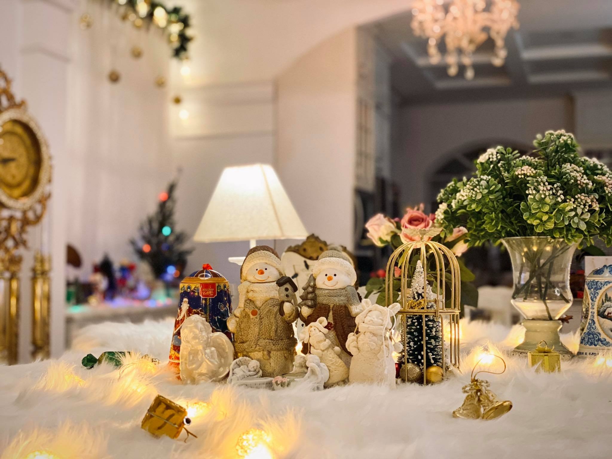 Thuy Hanh trang tri biet thu anh 5