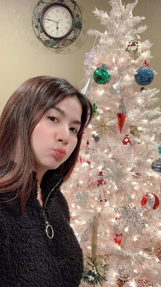 gia dinh Ly Hai don Noel anh 12