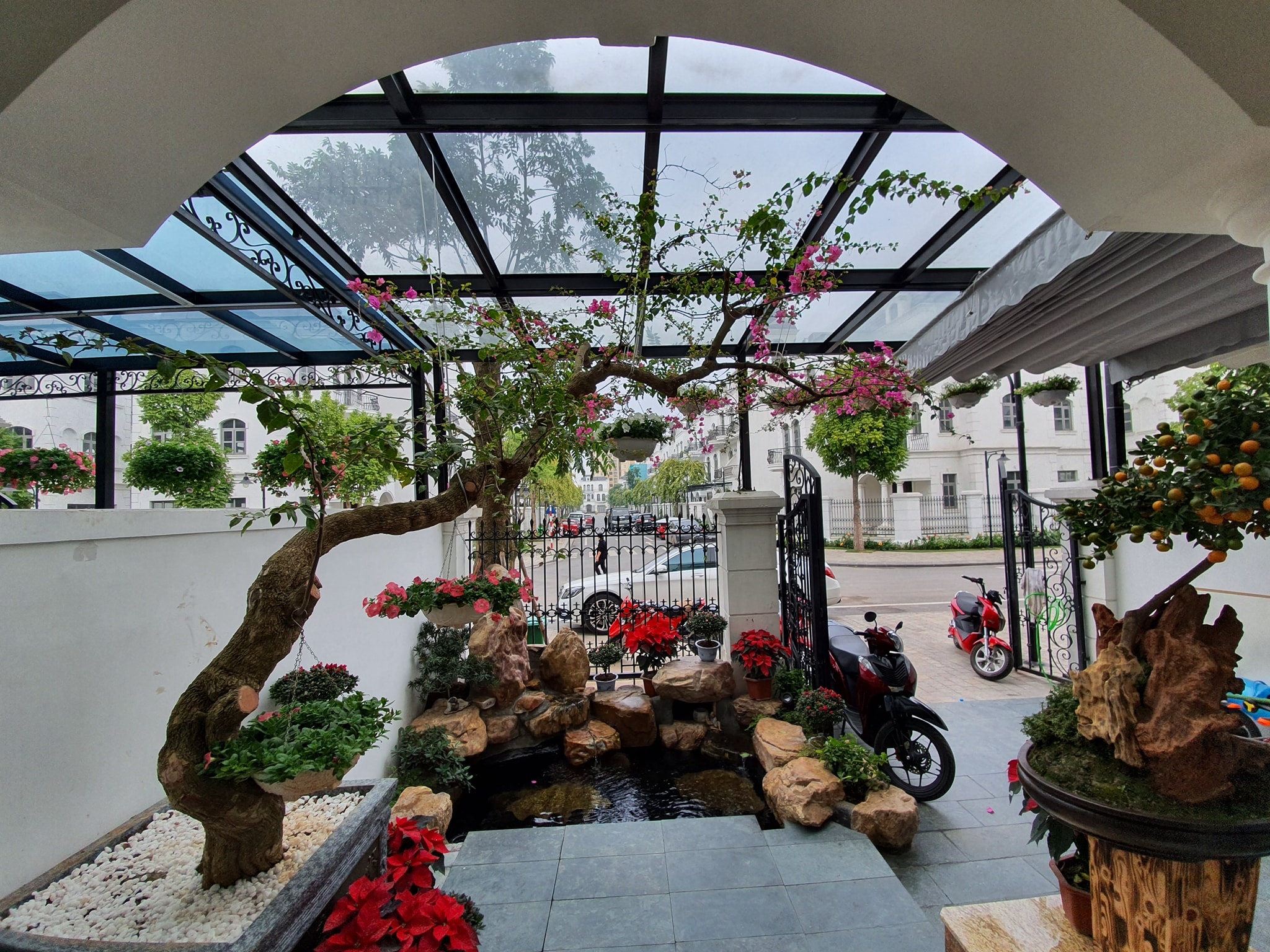 Tuan Hung trang tri biet thu moi don Tet hinh anh