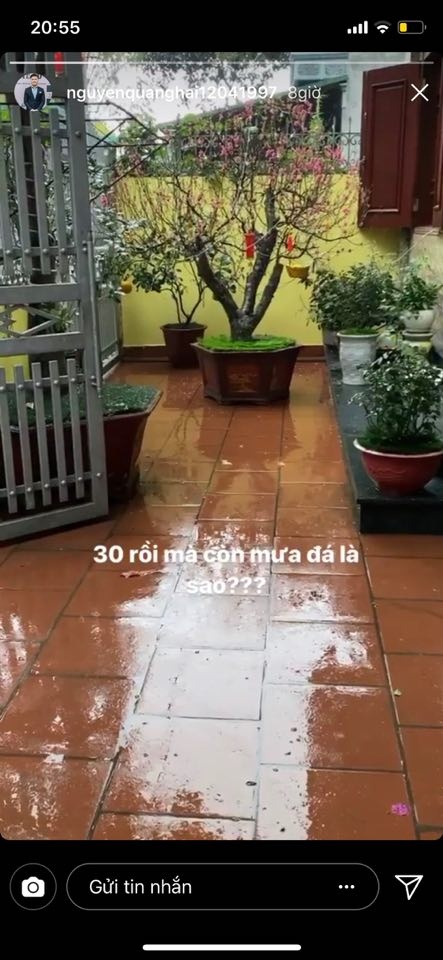 sao Viet don Tet anh 3