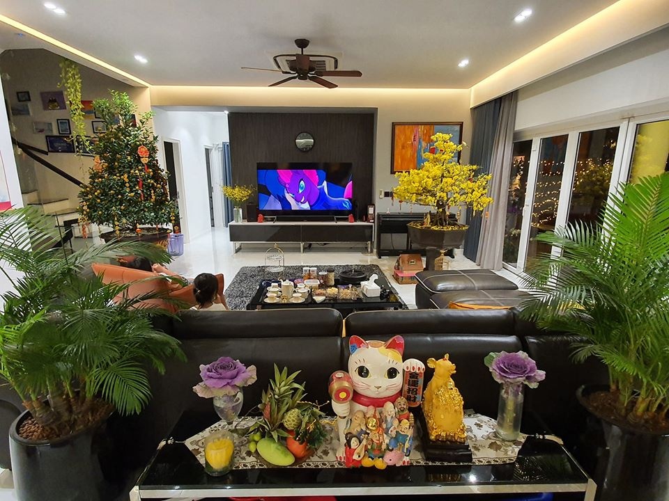 Biet thu moi cua Vu Thu Phuong anh 4