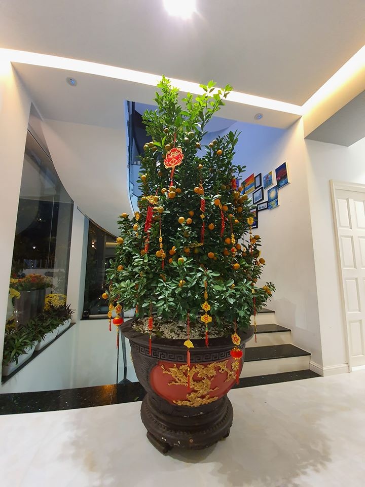 Biet thu moi cua Vu Thu Phuong anh 7