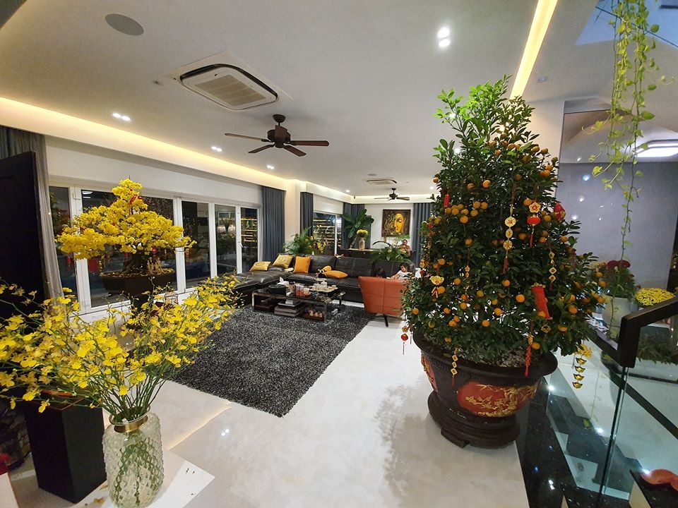 Biet thu moi cua Vu Thu Phuong anh 5