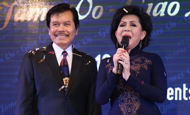 Giao Linh bi dot quy anh 2