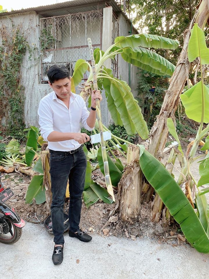 cuộc sống của sao Việt giữa dịch bệnh ảnh 5 cuoc song cua sao Viet giua dich benh anh 5