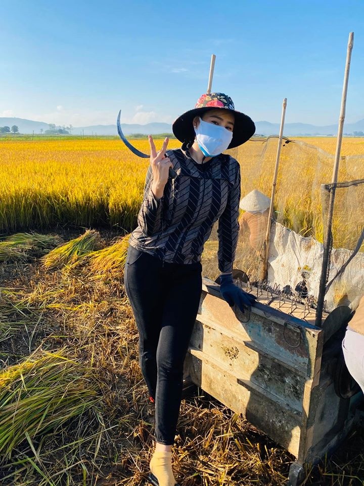 cuộc sống của sao Việt giữa dịch bệnh ảnh 1 cuoc song cua sao Viet giua dich benh anh 1