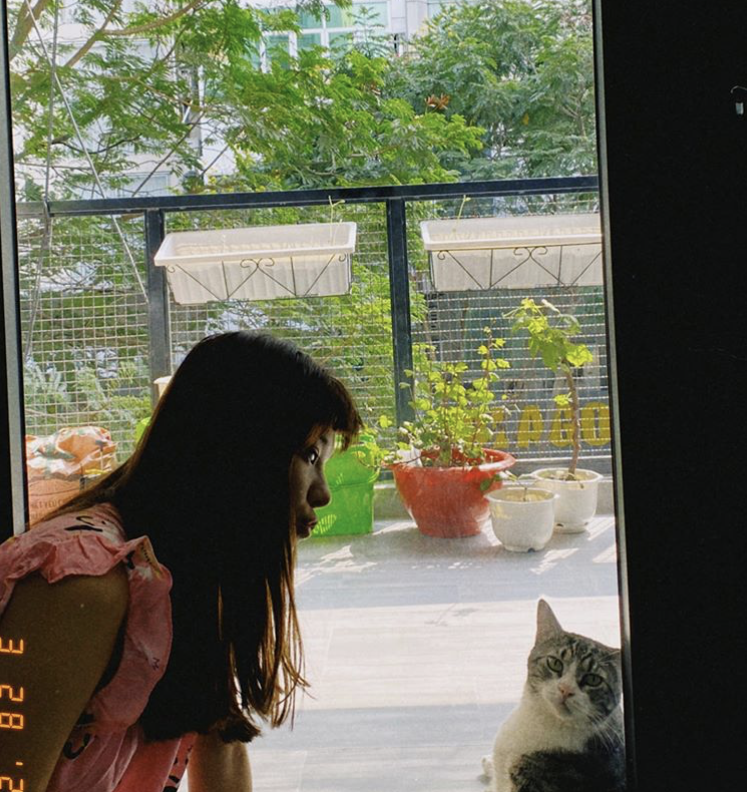 sao Việt ở nhà mùa dịch ảnh 8 sao Viet o nha mua dich anh 8