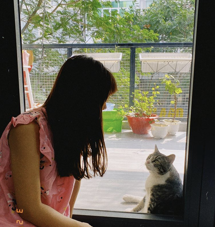 sao Việt ở nhà mùa dịch ảnh 7 sao Viet o nha mua dich anh 7