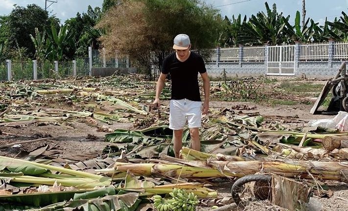 Minh Luan ve que lam nong dan hinh anh