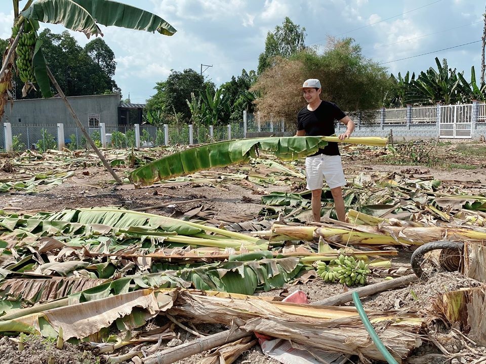 Vuon 2000 m2 cua Minh Luan anh 1