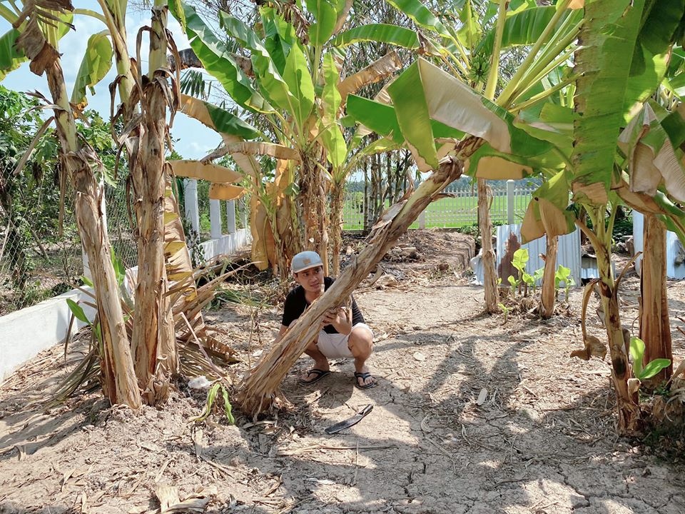 vuon cay rong hang nghin m2 cua sao Viet anh 3