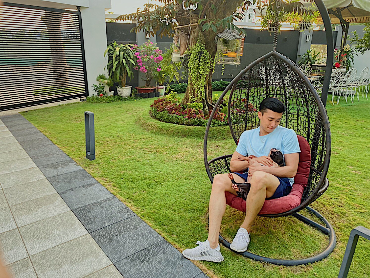 Vuon cay cua Quoc Truong anh 7