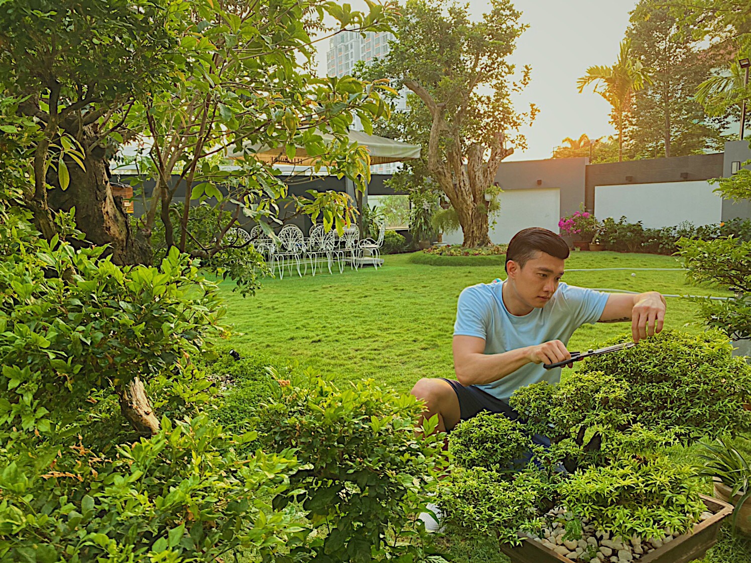 vuon cay rong hang nghin m2 cua sao Viet anh 2