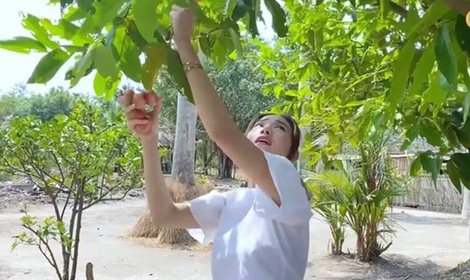 vuon cay rong hang nghin m2 cua sao Viet anh 10