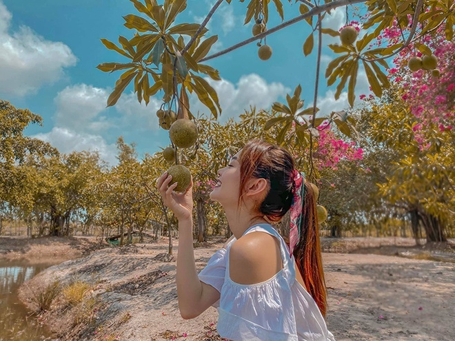 vuon cay rong hang nghin m2 cua sao Viet anh 9