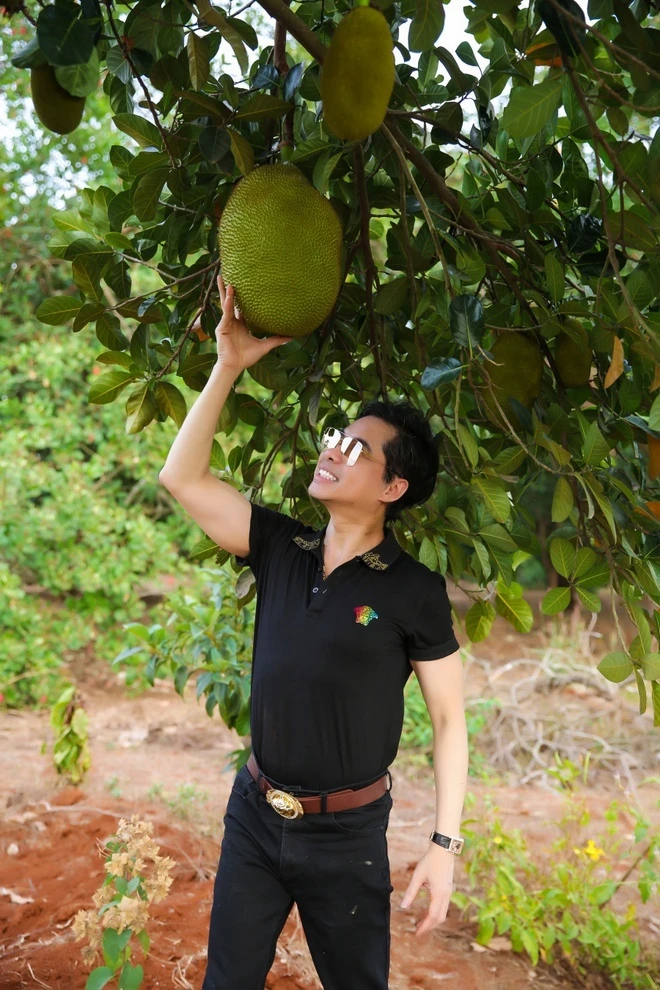 vuon cay rong hang nghin m2 cua sao Viet anh 6