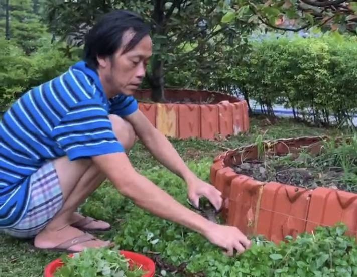 Hoai Linh o nha tho lam vuon 4 thang qua hinh anh