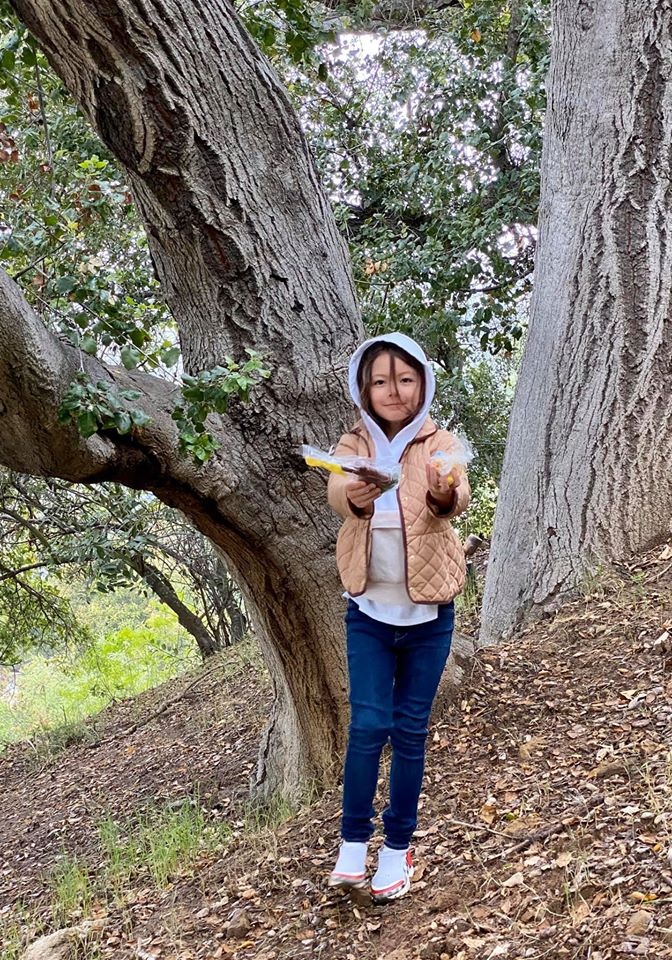 biet thu cua Hong Nhung anh 11