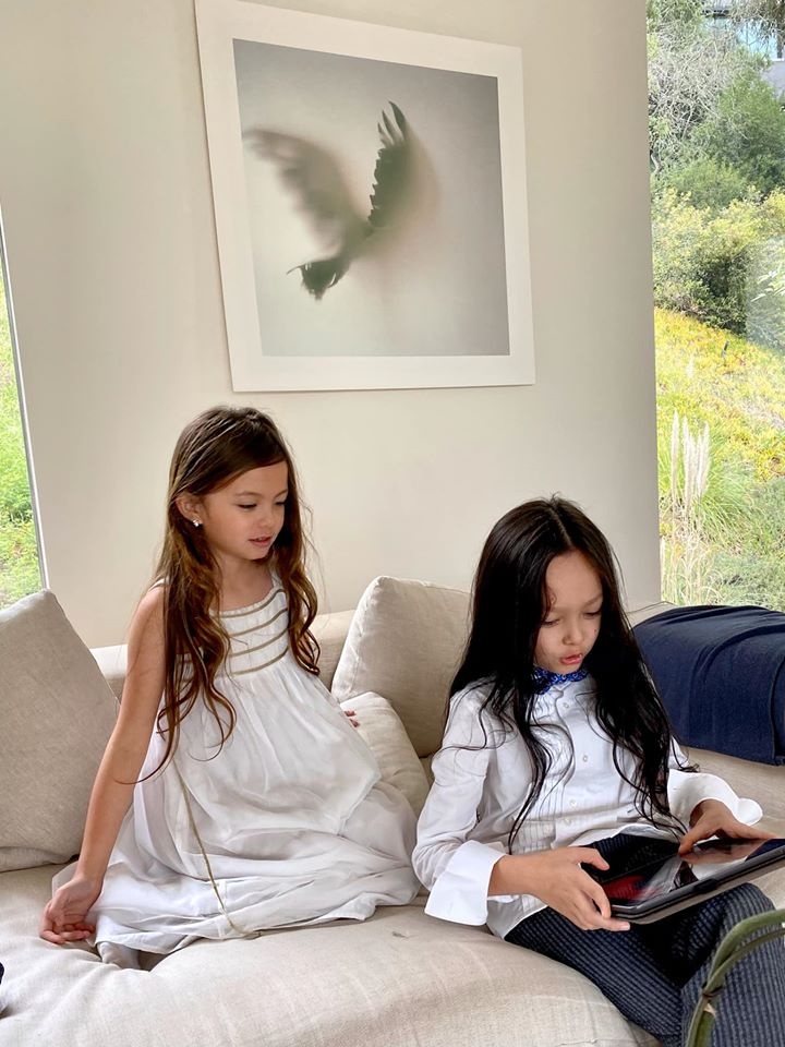 biet thu cua Hong Nhung anh 5