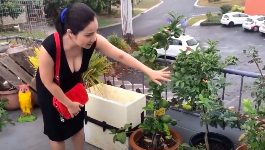 Khong gian nha cua MC Cat Tuong o Australia hinh anh