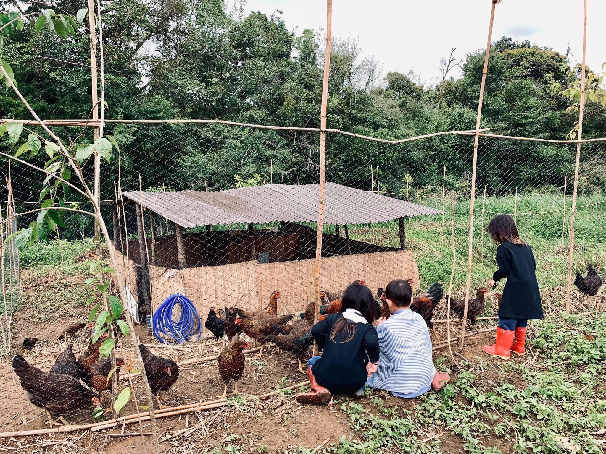 Ly Hai dua vo con ve que anh 2