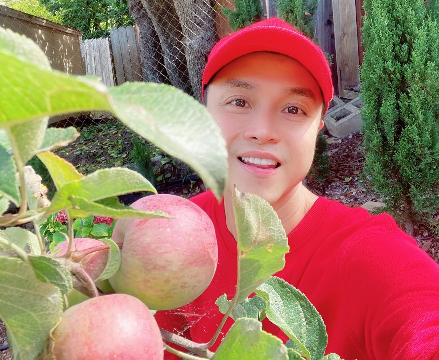 Nhat Tinh Anh xet nghiem Covid-19 anh 2