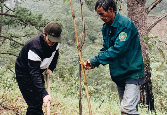Ha Anh Tuan trong hai canh rung o Lam Dong, Da Nang hinh anh