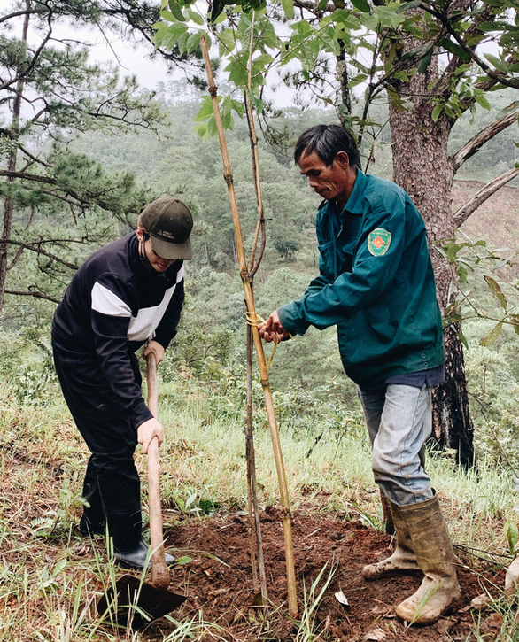 Ha Anh Tuan trong rung anh 1