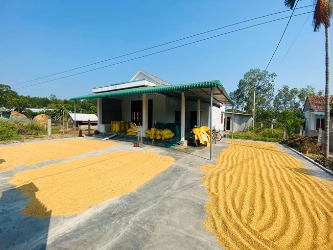 Nha Ho Bich Tram bi thoi toc mai anh 2