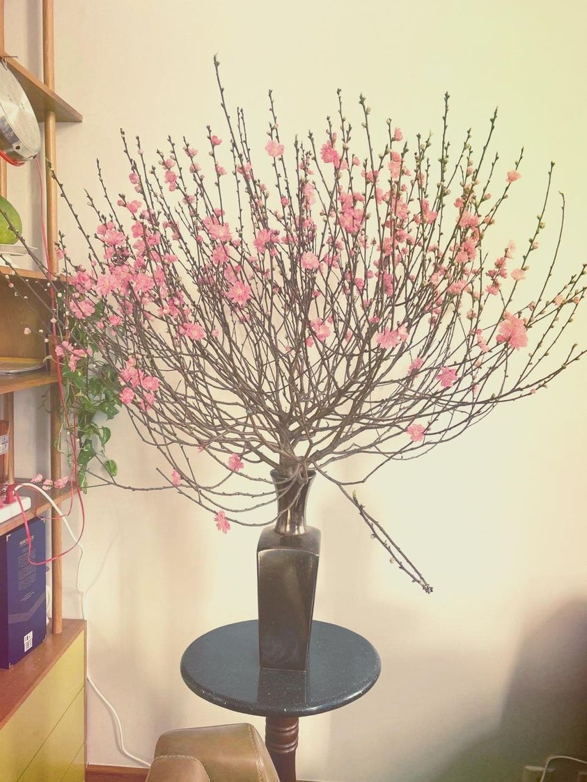 Sao hai ngoai ve Viet Nam don Tet anh 5