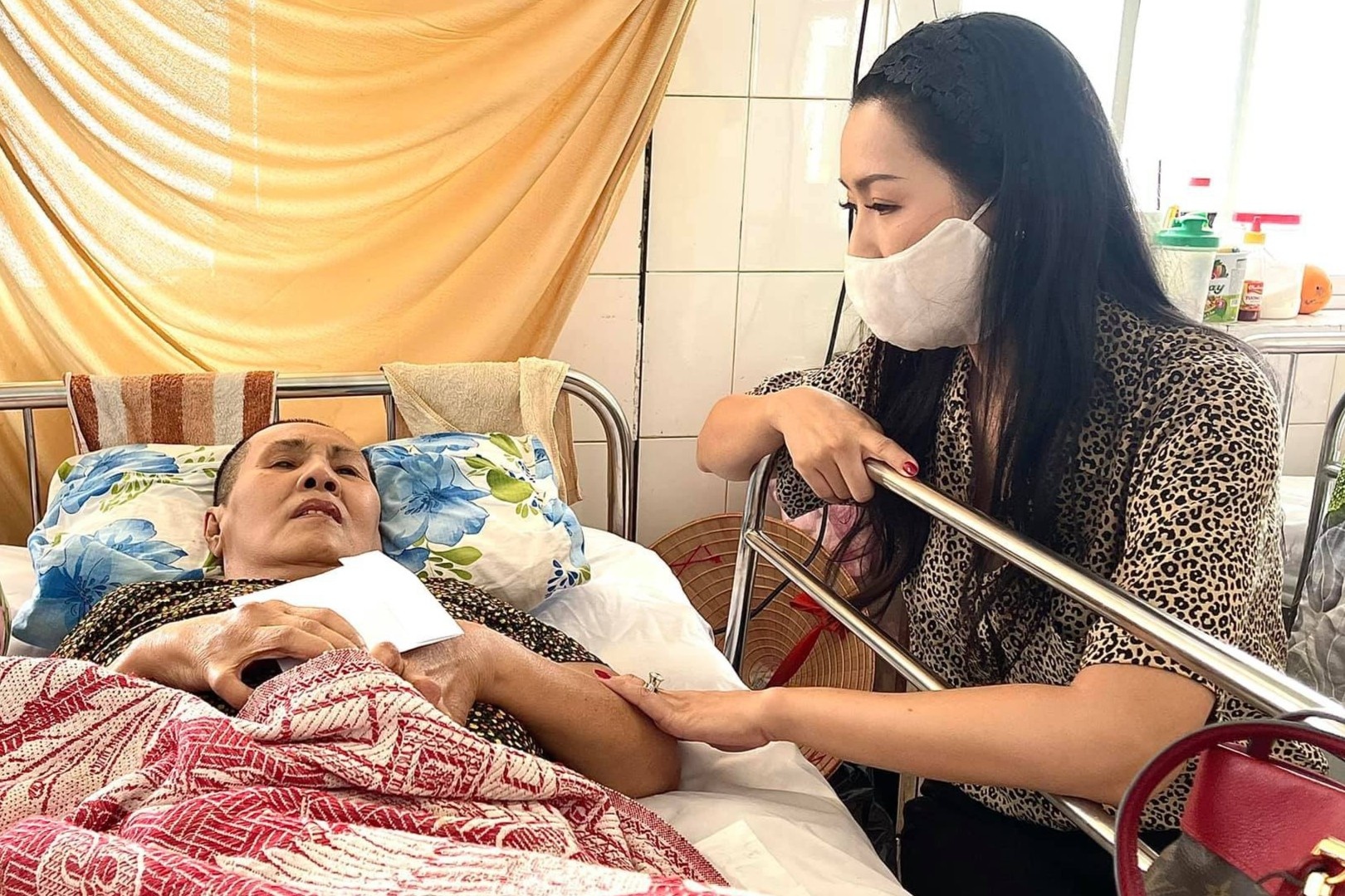 Trinh Kim Chi quyen gop hon 400 trieu dong giup nghe si Hoang Lan hinh anh