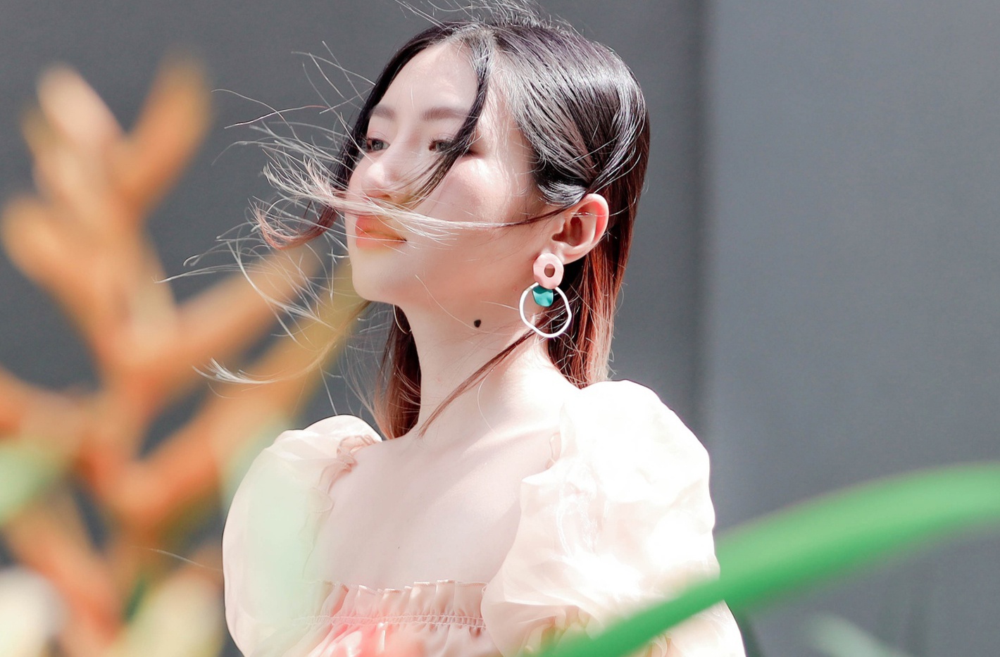 Khan gia nuoi nghe si - tranh cai khong cung he gia tri hinh anh