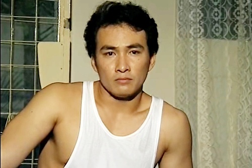 Nhung vai dien cua Chi Bao truoc khi giai nghe hinh anh