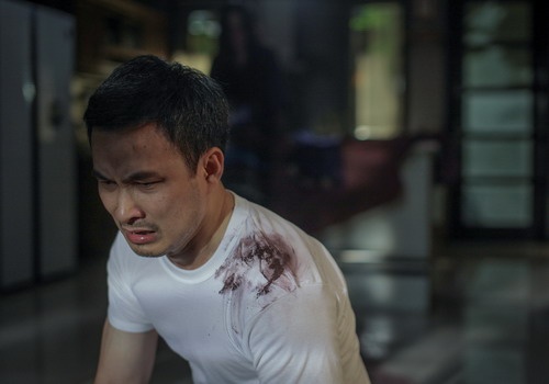 Nhung vai dien cua Chi Bao anh 6