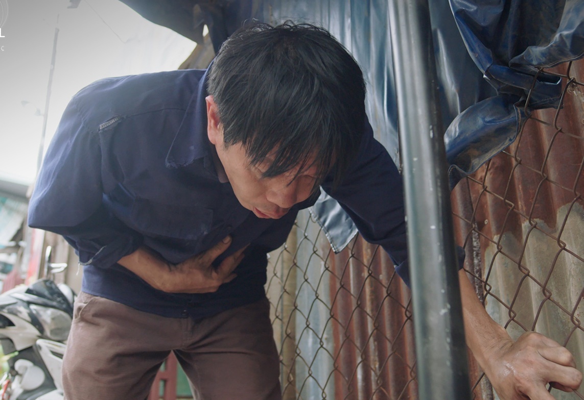 Cay tao no hoa anh 2