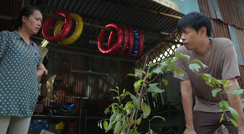 Hau truong Cay tao no hoa anh 1