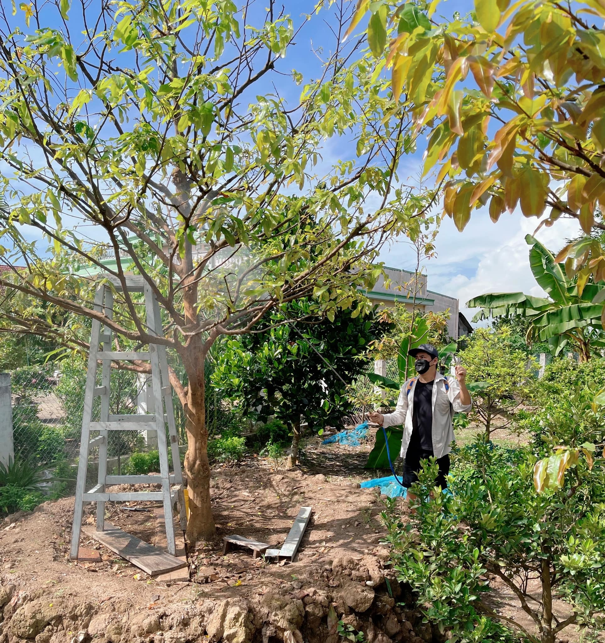 Truong Giang ve que anh 4