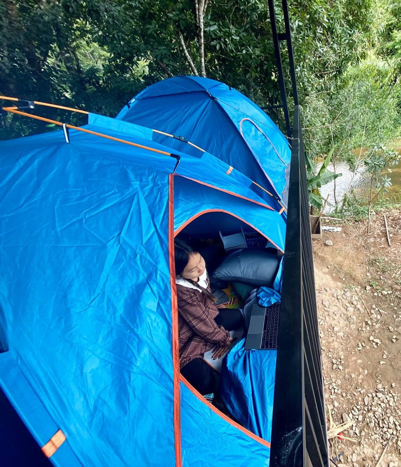 Cuộc sống ở trang trại của Lý Hải ảnh 4 Cuoc song o trang trai cua Ly Hai anh 4