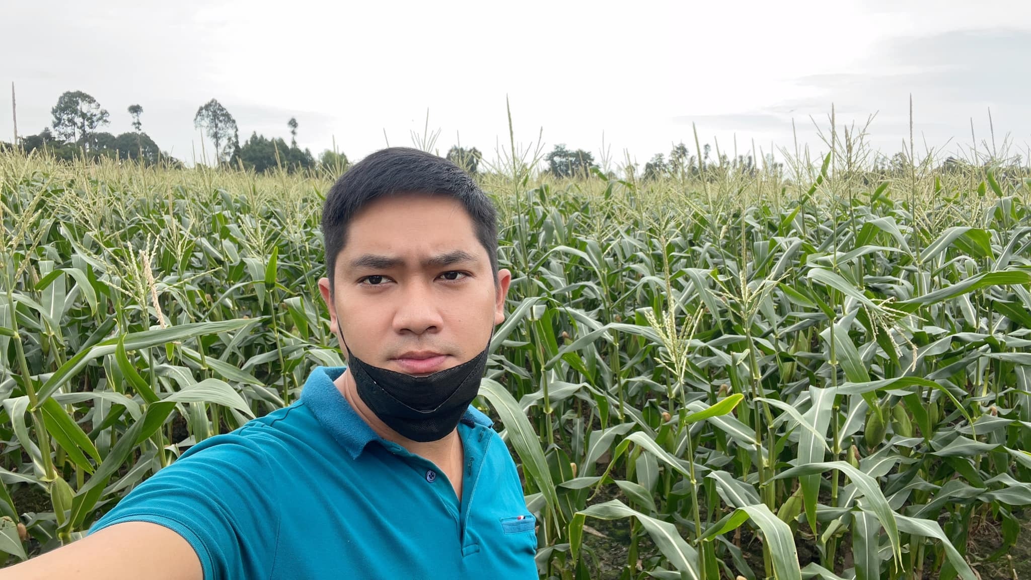 Minh Luan giai cuu ngo cho ba con anh 2