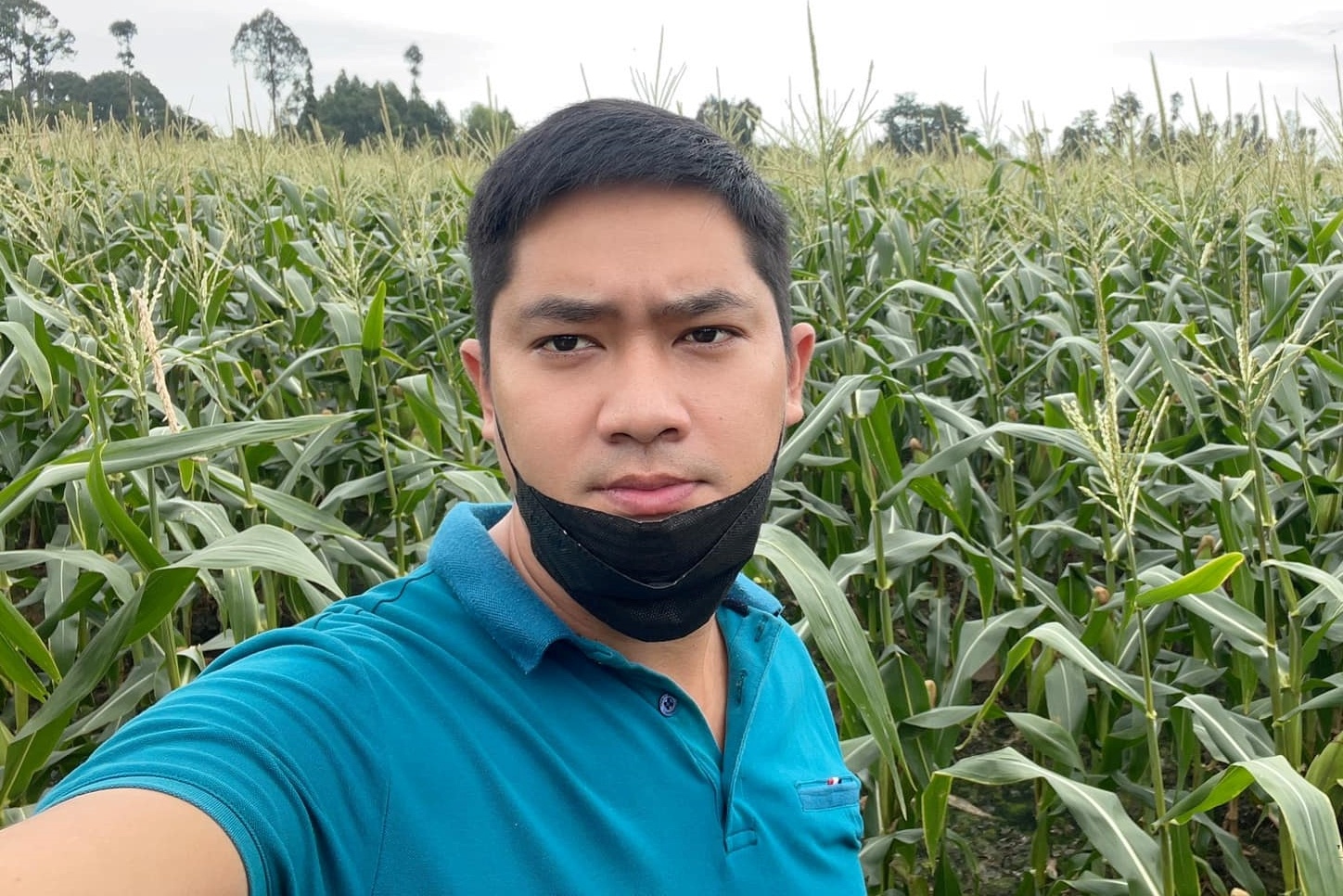 Minh Luan thu mua ba tan ngo giup nguoi dan Dong Thap hinh anh